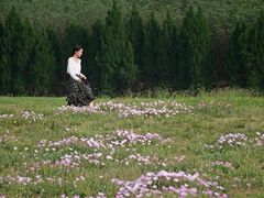 -汉长安城未央宫国家考古遗址公园