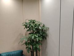 -W·24H茶楼·棋牌·掼蛋(望京店)