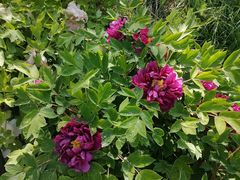 -宣武艺园