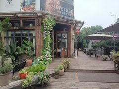 -一棵树·意大利西餐厅One Tree(新城店)
