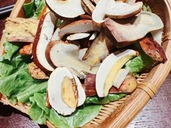 -滇野云南野生菌餐厅(陕西南路店)