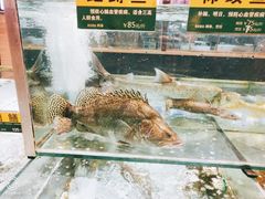 水产区-百鱼庄(仙葫店)
