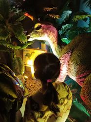 -恐龙探索乐园(磁器口店)