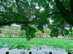 -东极岛景区
