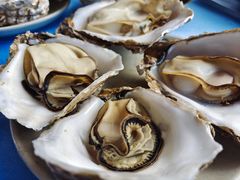 -千岛蚝高压锅生蚝·人参火锅(白云万达店)