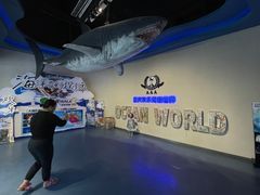 -重庆欢乐海底世界