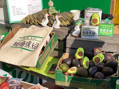 -陆家嘴中心绿地
