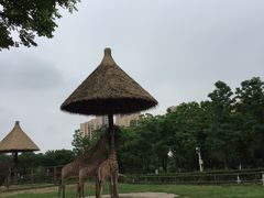 -南昌动物园