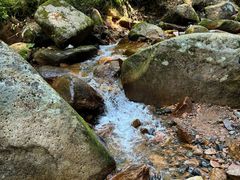 -五女峰国家森林公园