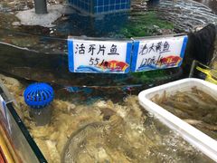 水产区-抹直口特色菜馆(一店)