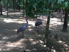 -鄱阳湖国家湿地公园