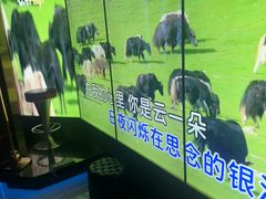 -温莎KTV(国贸店)