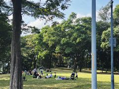 -深圳湾公园(南山区)