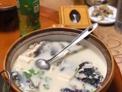 -全乐鱼馆·淳牌有机鱼直营店