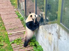 -黔灵山公园