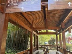 -武夷山风景名胜区-虎啸岩