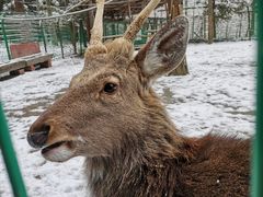 -武陵山森林公园