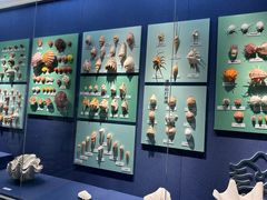 -大连自然博物馆·地球展厅