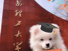 -西安理工大学(金花校区)