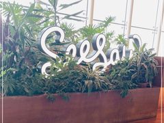 -Seesaw Coffee(朝阳大悦城店)