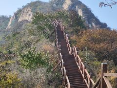-大岭沟猕猴桃谷风景区