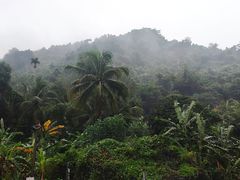 -海南槟榔谷黎苗文化旅游区