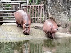 -深圳野生动物园