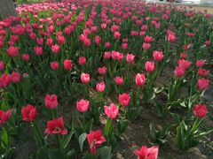 -长春公园(普阳街道)