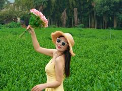 -帐篷客·溪龙茶谷度假酒店