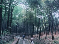 -杭州黄龙洞