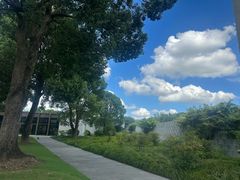 -养云安缦吧THE BAR