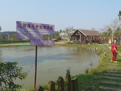 -蔡家宅