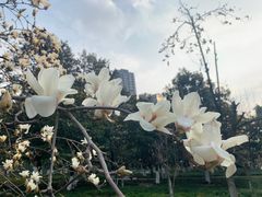 -塔子山公园