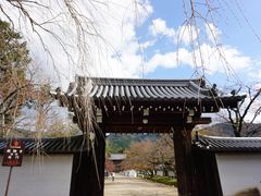 -醍醐寺