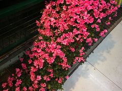 -三旗百汇商品城