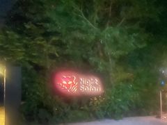 -夜间野生动物园