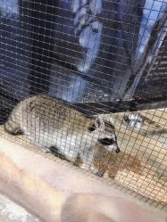 -酷嗒动物文化乐园(cutezoo西溪乐天城店)