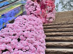 -万科生活广场(东莞松山湖店)
