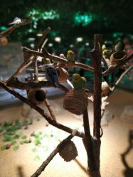 -酷嗒动物文化乐园(cutezoo西溪乐天城店)