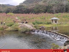 -广州市石门国家森林公园