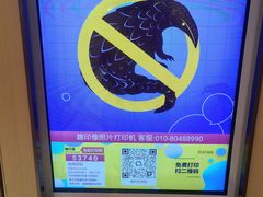 -海底捞火锅(太阳宫凯德mall店)