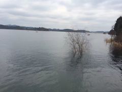 -仙海旅游度假区