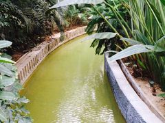 -龙达温泉生态城
