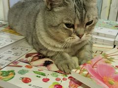 -小时光咖啡馆(开森度假森林店)