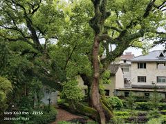 -溪口-滕头旅游景区