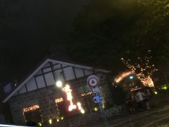 -翠华餐厅(山顶道店)