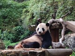 -广州长隆野生动物世界