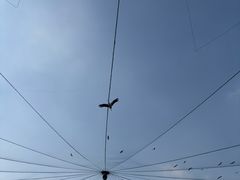 -合肥野生动物园
