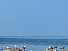 -那香海钻石沙滩浴场