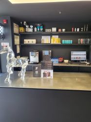-付军剪艺JF ProSalon